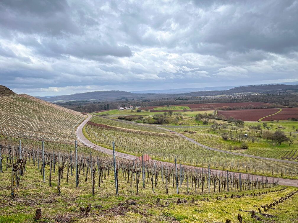 23-03-12 14-50-49 4802